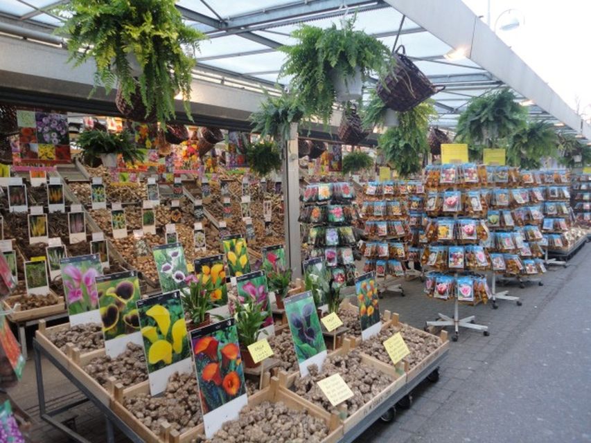 Private Amsterdam Walking Tour - Key highlights you will feel right away