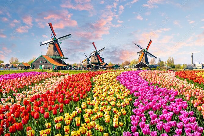 Private Countryside Tour From Amsterdam - Key Points You’ll Care About