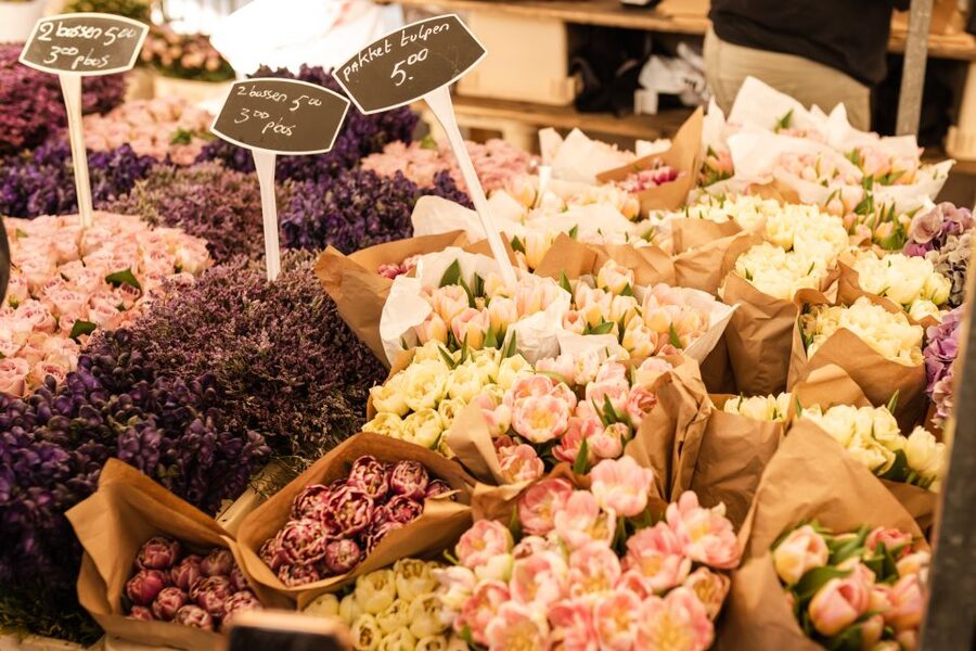 Private & Custom Amsterdam Tour, Hidden Gems with a Local - Amsterdam West Markets: Ten Katemarkt and De Hallen