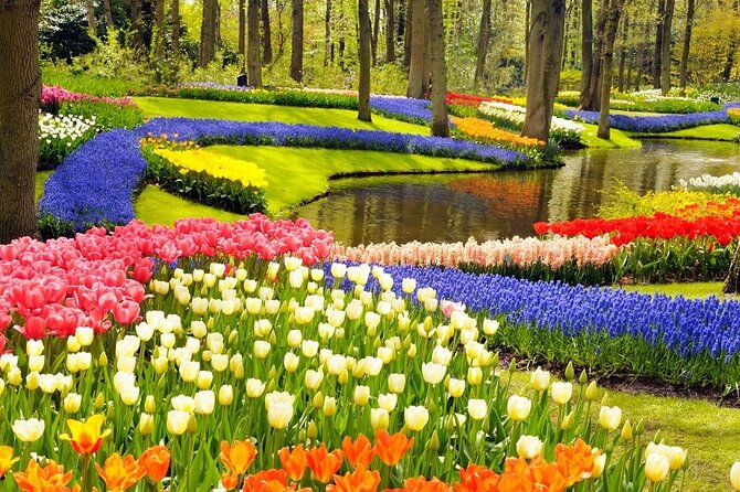 Private custom tour from Amsterdam to Giethoorn - Cost and value: is $501.22 per person reasonable?