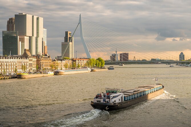 Private Day Tour: Rotterdam and The Hague. English or Spanish - Rotterdam on foot: modern skyline, maritime vibes, and the Erasmus University factor