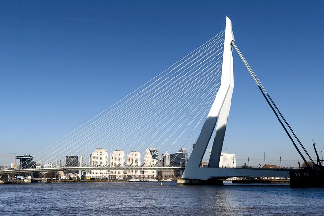 Private Day Tour: Rotterdam, Delft & The Hague From Amsterdam - Price and what you actually get for $420.08