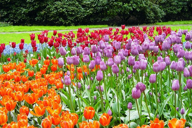 Private Day Trip from Amsterdam to Keukenhof with Entrance Tickets - A Half-Day Keukenhof Trip That Starts at Your Hotel
