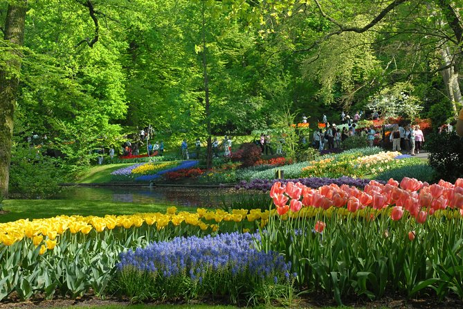Private Day Trip from Amsterdam to Keukenhof with Entrance Tickets - Photo-Ready Garden Highlights With Guides Like Fred, Jarel, and Karl