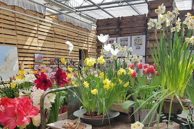 Private Day-trip to Keukenhof Gardens: Millions of Flowers in Bloom - Private door-to-door transport from Amsterdam
