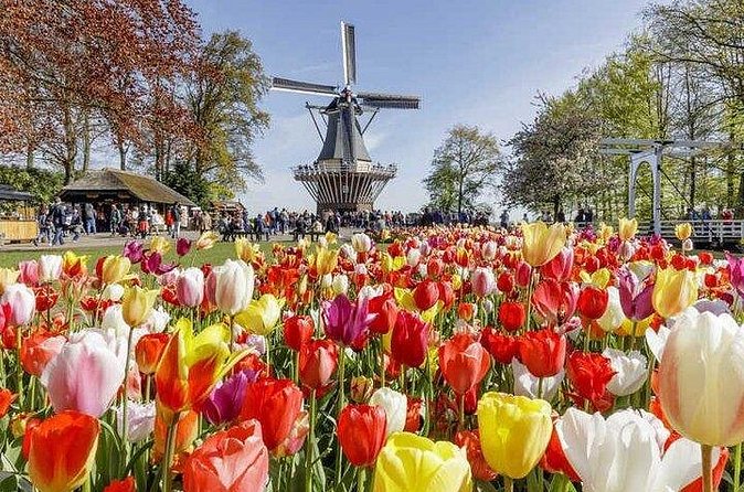 Private Day-trip to Keukenhof Gardens: Millions of Flowers in Bloom - What you are actually paying for, and if it’s good value