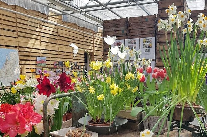 Private Day-trip to Keukenhof Gardens: Millions of Flowers in Bloom - Ticket rules: the near-miss story you should heed