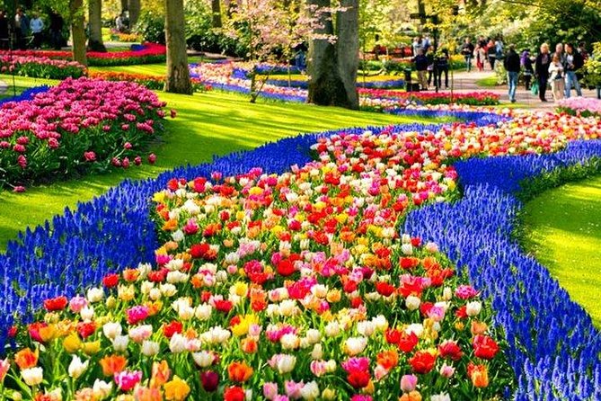 Private Day-trip to Keukenhof Gardens: Millions of Flowers in Bloom - Comfort details that matter more than you think