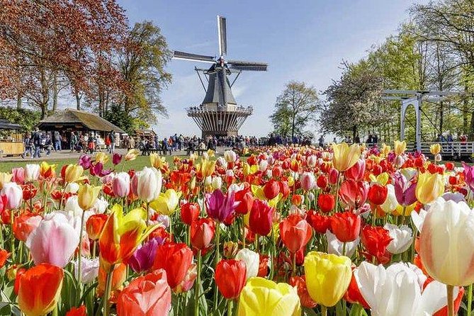 Private Day-trip to Keukenhof Gardens: Millions of Flowers in Bloom - Who this private Keukenhof trip fits best