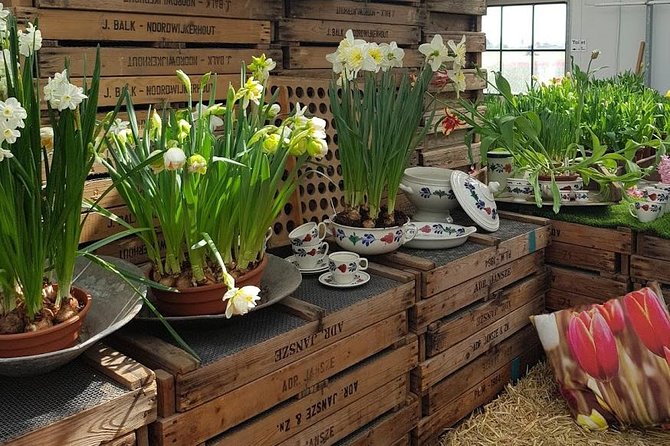 Private Day-trip to Keukenhof Gardens: Millions of Flowers in Bloom - Your Keukenhof time: what you can plan to see in 2 hours