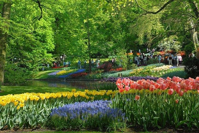 Private Day Trip to the Keukenhof Gardens and Giethoorn - Key Things to Know Before You Go