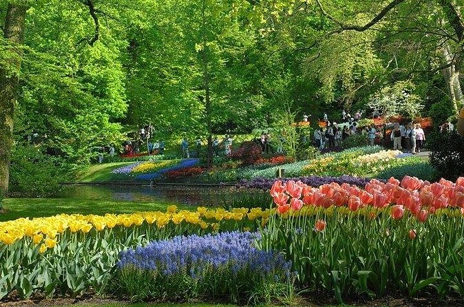 Private Day Trip to the Keukenhof Gardens and Giethoorn - What to Bring for a Tulip and Canal Day