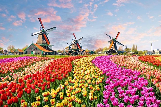 Private Day Trip to Zaanse Schans, Volendam & Marken from Amsterdam - Zaanse Schans windmills, clogs, and the tulip timing gamble