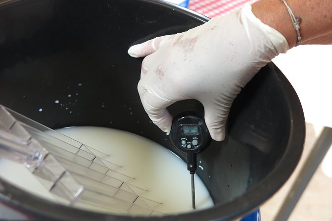 Private Farmhouse Cheesemaking Workshop - Simonehoeve near Amsterdam, a real farm break from city time