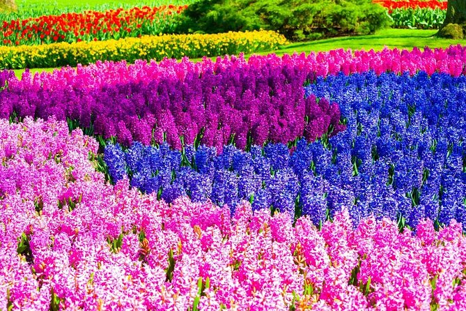 Private Flower Tour to the Keukenhof - Tickets, timing, and why you should book ahead