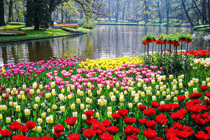 Private Flower Tour to the Keukenhof - Service style: private, English-speaking, and built for your pace