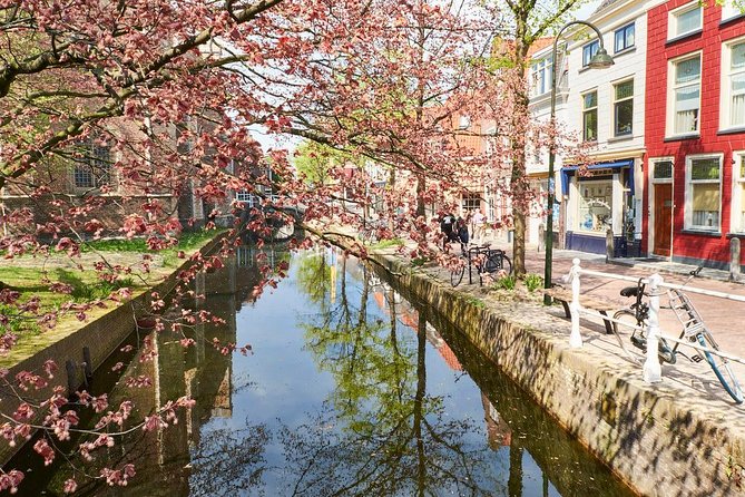 Private full-day tour of Delft and Rotterdam from Amsterdam - Price and value: what you are really paying for at $486.62 per person