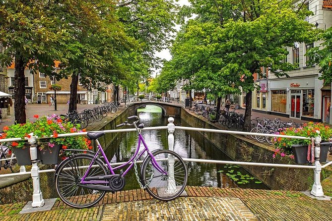Private full-day tour of Delft and Rotterdam from Amsterdam - The practical feel of a private day: driver, guide, and your control of questions