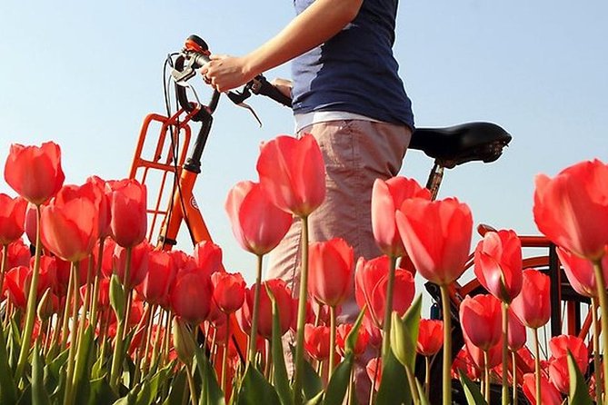 Private Guided Full-Day Customizable Tour of Holland from Amsterdam - Seasonal Bonus: Tulip Fields and Keukenhof Timing