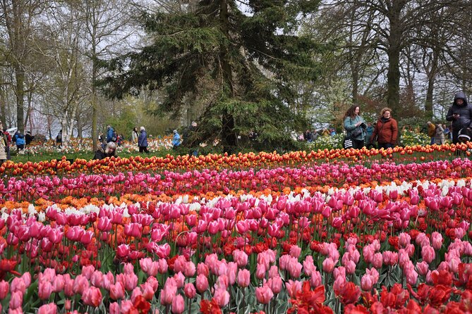 Private Guided Keukenhof Gardens and Zaanse Schans Tour - Tulip country photo spots on the way to Keukenhof