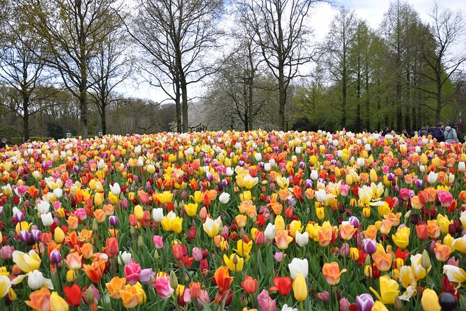 Private Guided Keukenhof Gardens and Zaanse Schans Tour - The 8:30 to 6-hour rhythm, and why private pacing helps