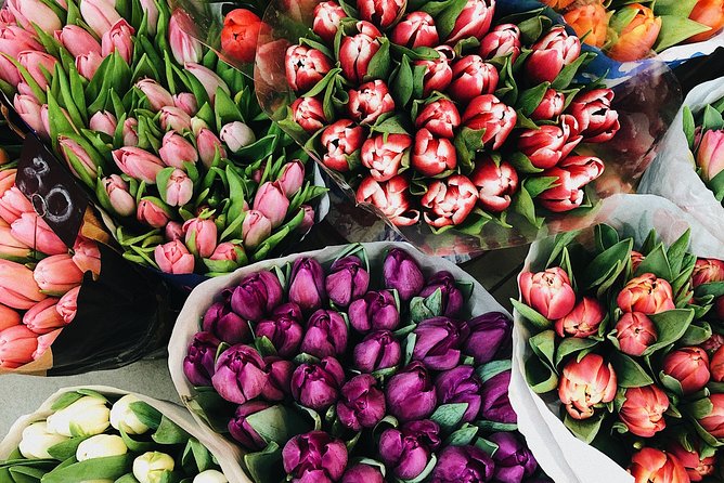 Private Half-Day Amsterdam Market Tour by Bike - Key things to know before you go