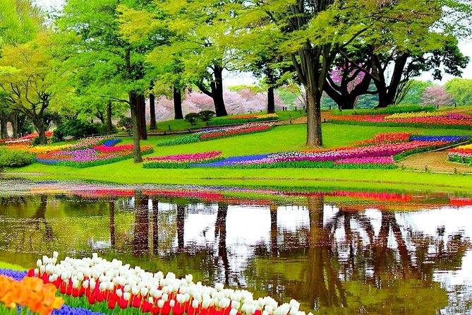Private Half-Day Trip From Amsterdam to The Tulip Fields in Keukenhof - Hotel pickup that actually saves time