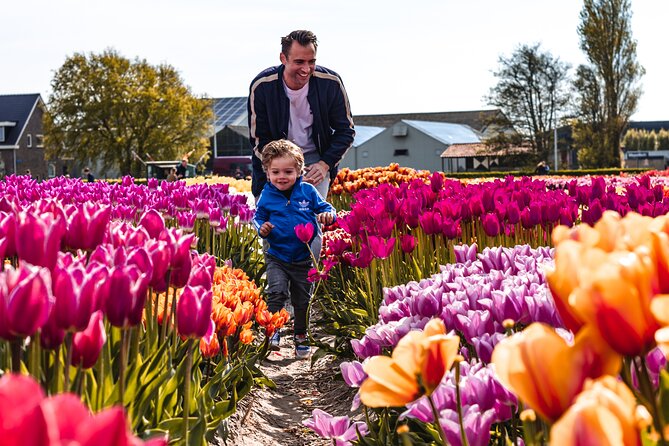 Private Keukenhof Gardens and Tulip Fields Tour from Amsterdam - Who should book this private Keukenhof and tulip fields tour
