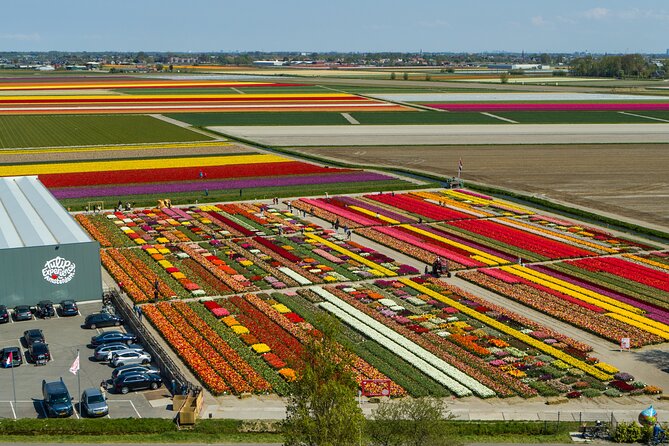 Private Keukenhof, Gardens, Windmills, cheese tour from Amsterdam - Wooden shoe and craft time at Zaanse Schans