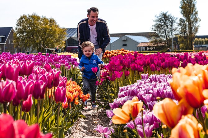 Private Keukenhof, Gardens, Windmills, cheese tour from Amsterdam - Price and value: when $499.43 per person feels fair