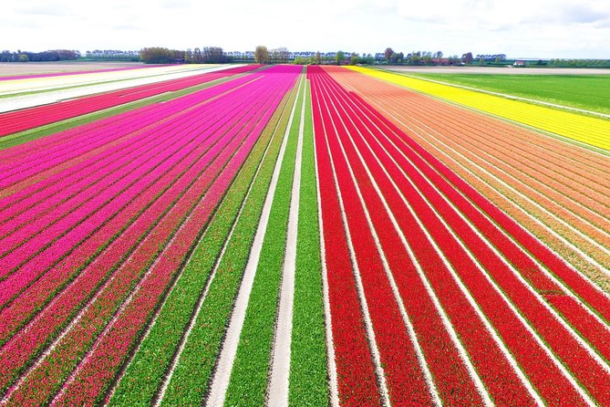 Private Keukenhof Park and Tulip Fields Tour (Skip-The-Line) - Key Things You Should Notice Before You Go