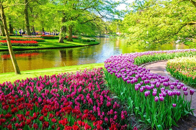 Private Keukenhof Park and Tulip Fields Tour (Skip-The-Line) - Private Mercedes-Benz to Keukenhof: The Comfort Factor You Feel Fast