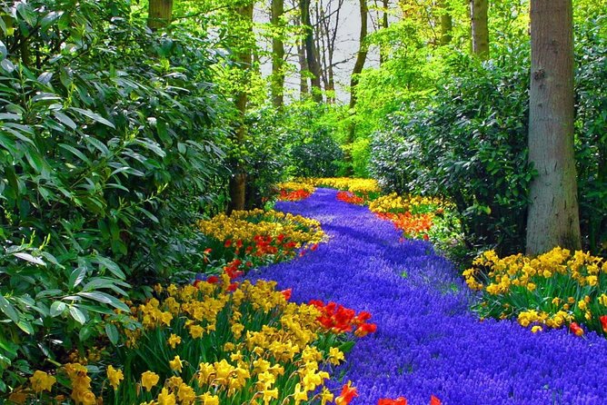 Private Keukenhof Park and Tulip Fields Tour (Skip-The-Line) - Driver Support: When a Great Guide Feels Like a Cheat Code
