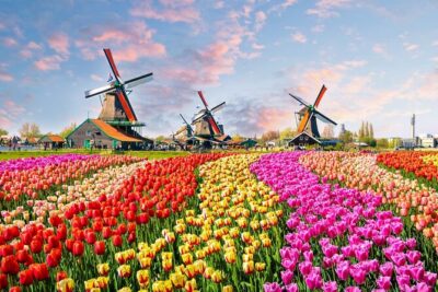 Private Keukenhof Park and Tulip Fields Tour (Skip-The-Line)