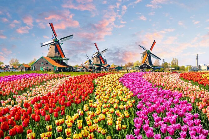 Private Keukenhof Park and Tulip Fields Tour (Skip-The-Line) - Tulip Field Photo Stops and Windmill Views Along the Way
