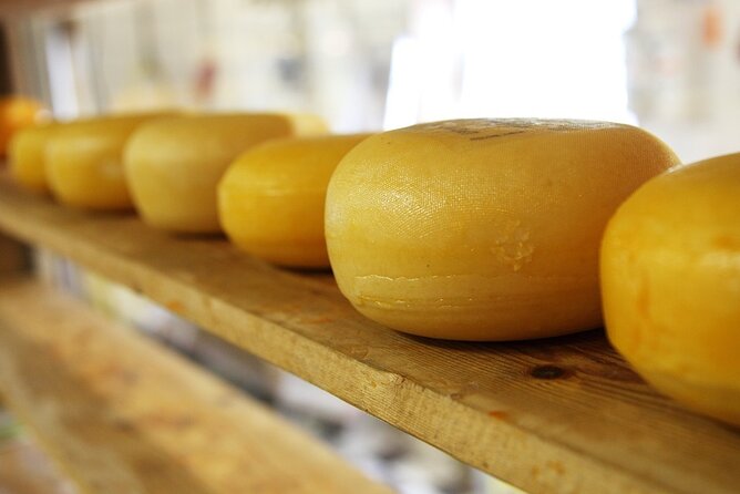 Private Rotterdam and Kinderdijk Day Trip from Amsterdam - Cheese farm + souvenir time: the most practical part of the day