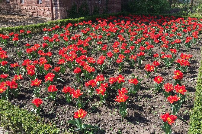 Private sightseeing Amsterdam to cologne Day Trip - Stop 3: Museum Ludwig in 45 minutes for Pop Art and Picasso
