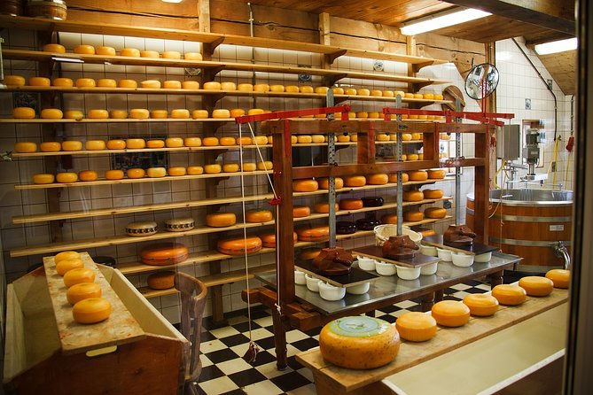 Private Sightseeing to Windmills, Volendam, Marken from Amsterdam - Key highlights to look for