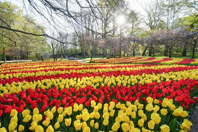 Private Taxi to Keukenhof Tulip Fields & Flowers From Amsterdam - The Windmill Cruise: The Scenic Add-On That Keeps It Dutch
