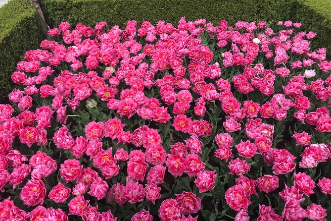 Private Tour to the Keukenhof and Tulip Fields - What it is like in practice: the private flow you will feel from minute one