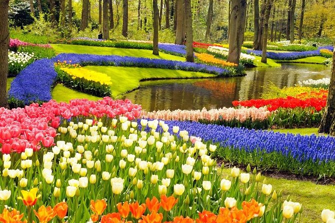 Private Tour to the Keukenhof and Tulip Fields - The Aalsmeer flower auction, the world’s shipping hub in real time