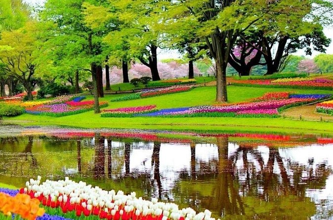 Private Tour to the Tulip Experience with Keukenhof Visit - The Optional Boat Ride Between Flower Fields