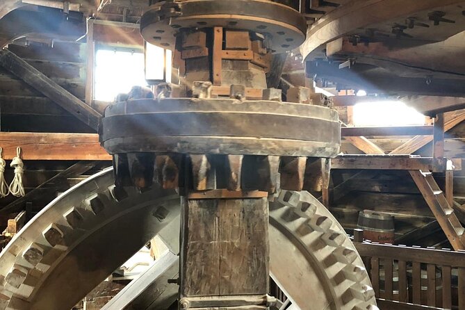Private Tour to the Windmills, Cheese and Clogs and Volendam from Amsterdam - Jacobs Hoeve cheese farm by Henri Willig: cows, milking robot, and 30+ tastings