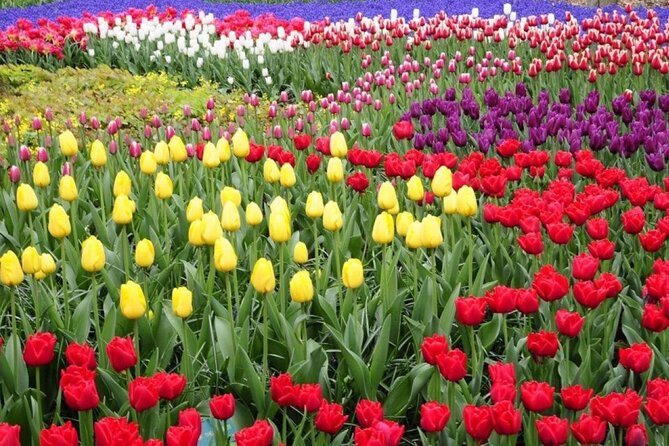 Private Tour to Tulips, Keukenhof, Windmills & Cheese Farm - Keukenhof Flower Park, where time matters more than hype