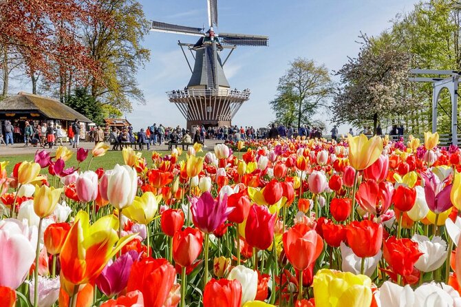 Private Tour Tulip Gardens (Keukenhof) and Dutch highlights - Key highlights you’ll feel right away