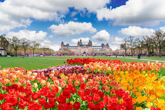 Private Tour Van Gogh & Rijksmuseum - Key highlights you should care about