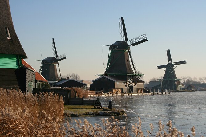 Private Tour Zaanse Schans Windmills, Volendam & Marken - Volendam Cheese Farm: Jersey Cows, Robot Milking, and Tasting Real Dutch Dairy