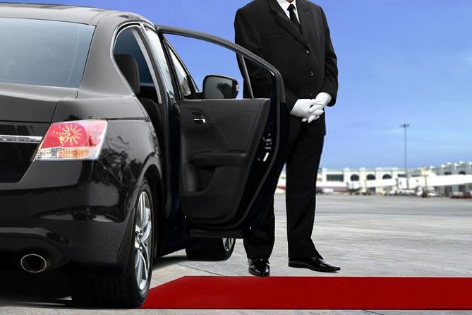 Private Transfer from Amsterdam Airport Schiphol to The Hague - Practical tips that prevent the one common snag