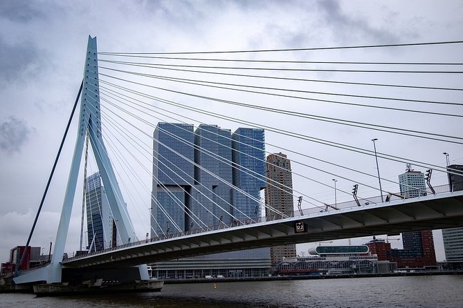 Private Transfer from Amsterdam city center to Rotterdam - Why this Amsterdam to Rotterdam transfer feels easier than taxis