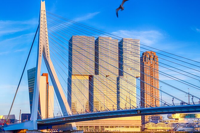 Private transfer from Amsterdam to Rotterdam, 2h Stop in Delft - Your driver: local English help, not a licensed guide